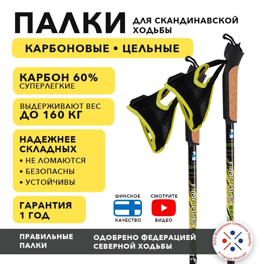 Палки для скандинавской ходьбы Finpole BR, карбоновые, 105 см