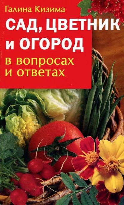 Сад, цветник и огород в вопросах и ответах | Кизима Галина Александровна | Электронная книга