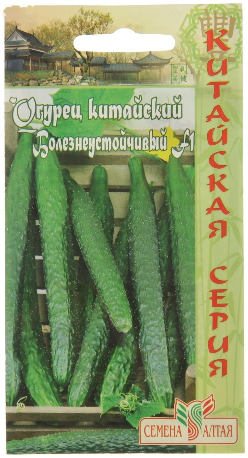 Купить Семена Огурцов В Туле