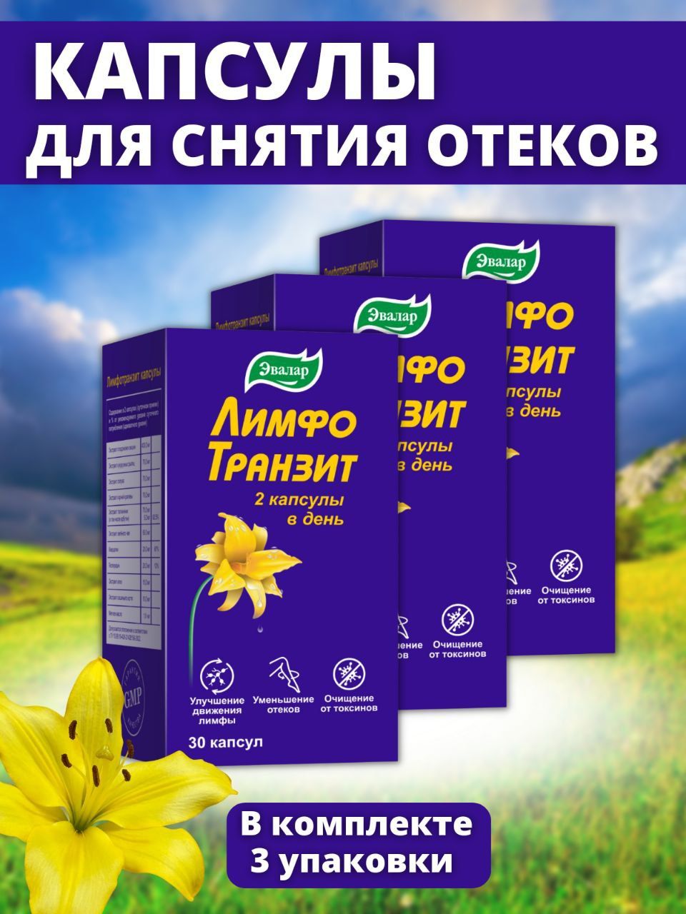 Лимфотранзит Купить В Челябинске В Аптеке