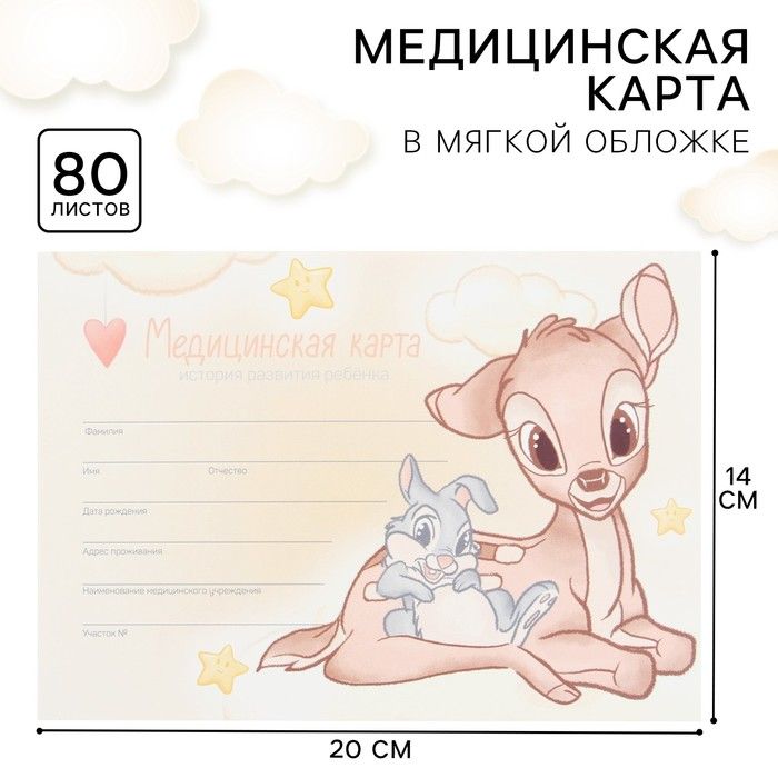 Disney Медицинская карта A5 (14.8 × 21 см), листов: 80