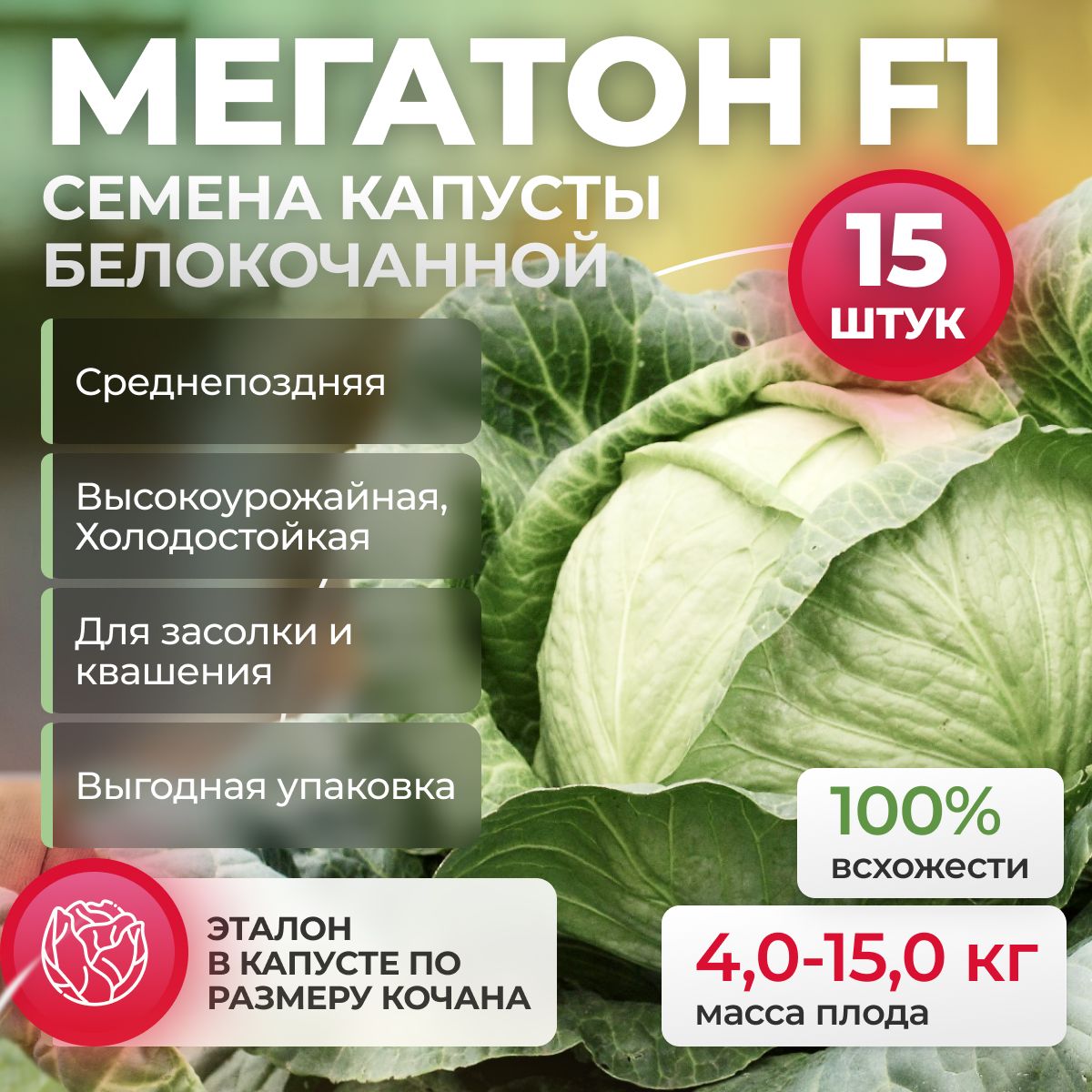 Мегатон F1 семена капусты белокочанной, 15 шт (Bejo / ALEXAGRO). Высокоурожайный, среднепоздний гибрид для открытого грунта