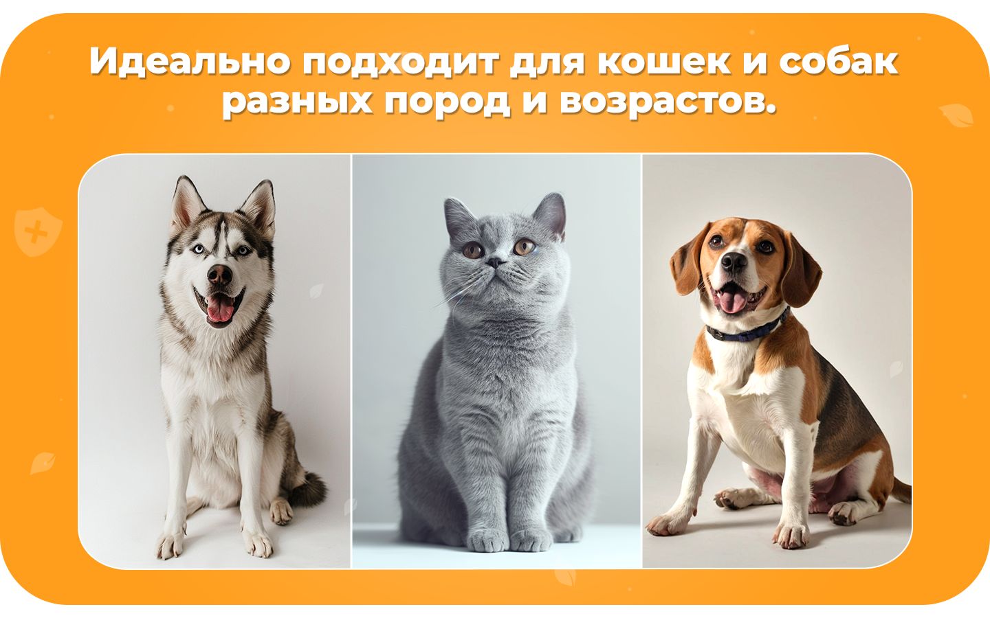 Пенка мыло для мытья лап собак с хлоргексидином, 200 мл(图4)