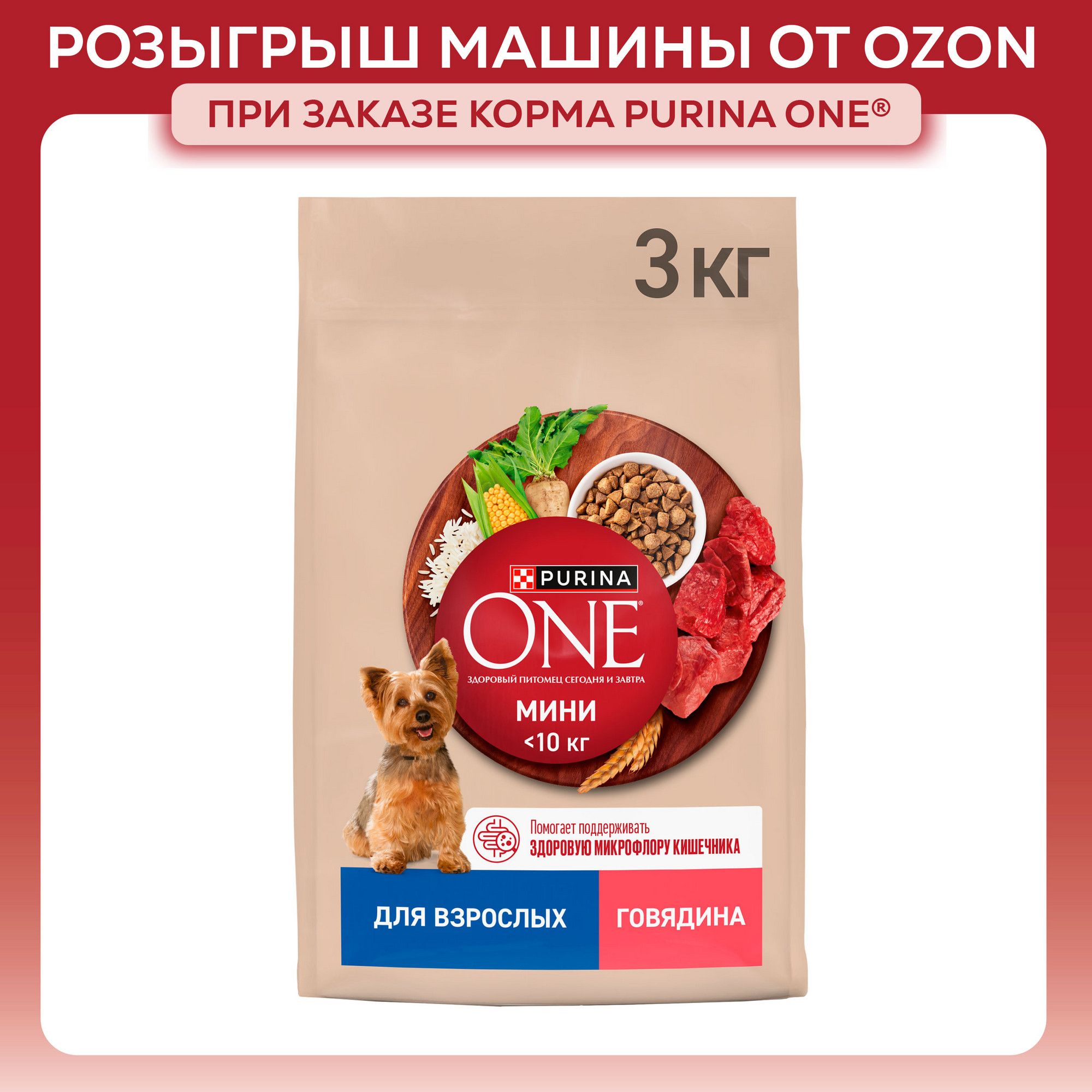 Сухой корм для собак PURINA ONE МИНИ для мелких и карликовых пород, с говядиной и рисом, 3 кг