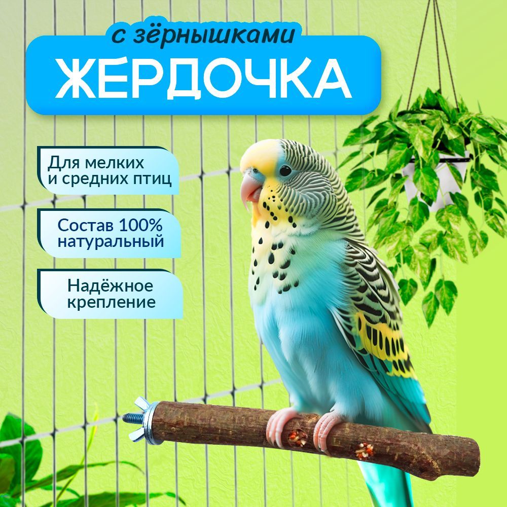 Жердочка для волнистых попугаев с лакомством купить на OZON по низкой цене (1738283405)