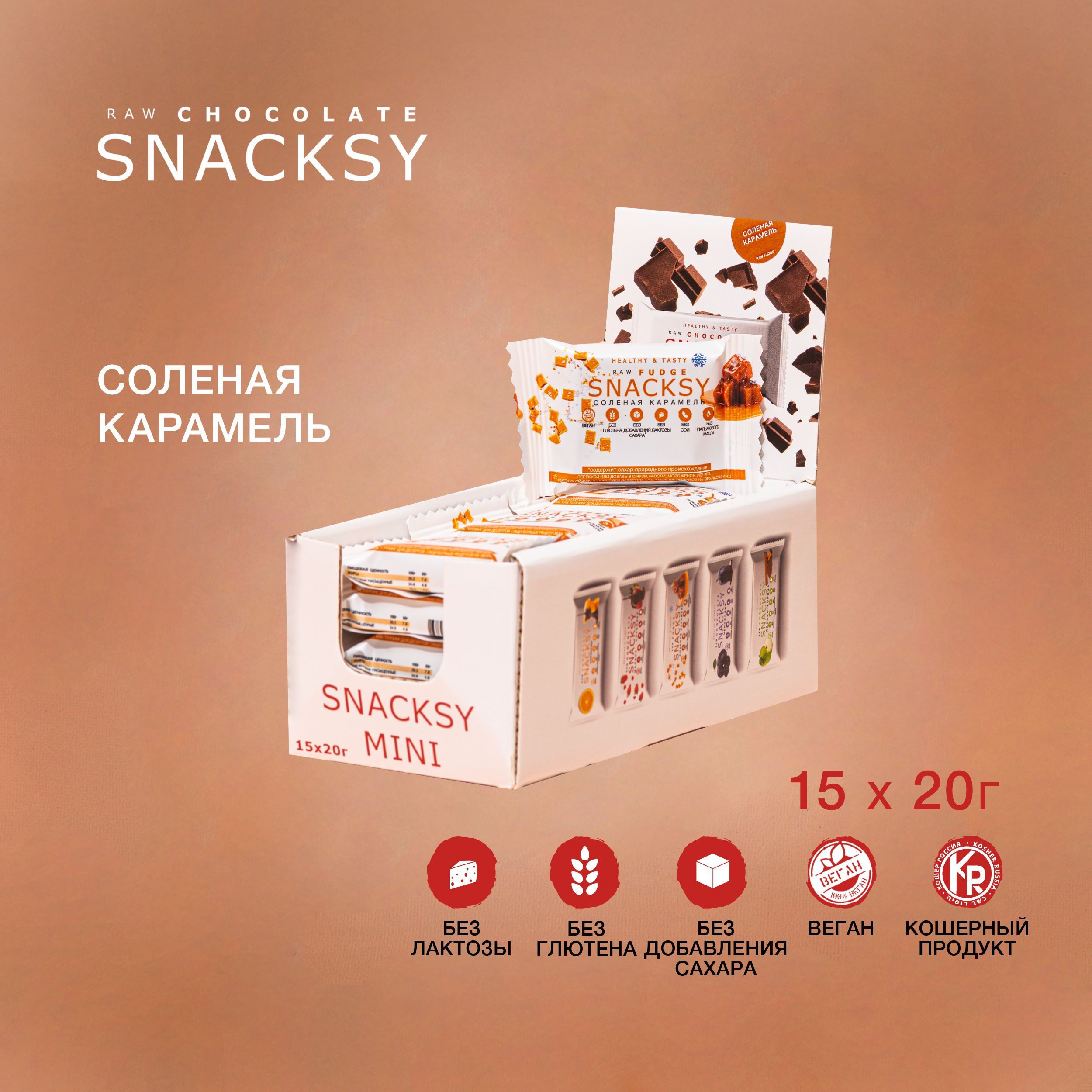 Шоу бокс из 15 батончиков со вкусом Соленая Карамель по 20 грамм SNACKSY RAW Fudge / диетический, батончик ПП, веганский, без сахара, постный