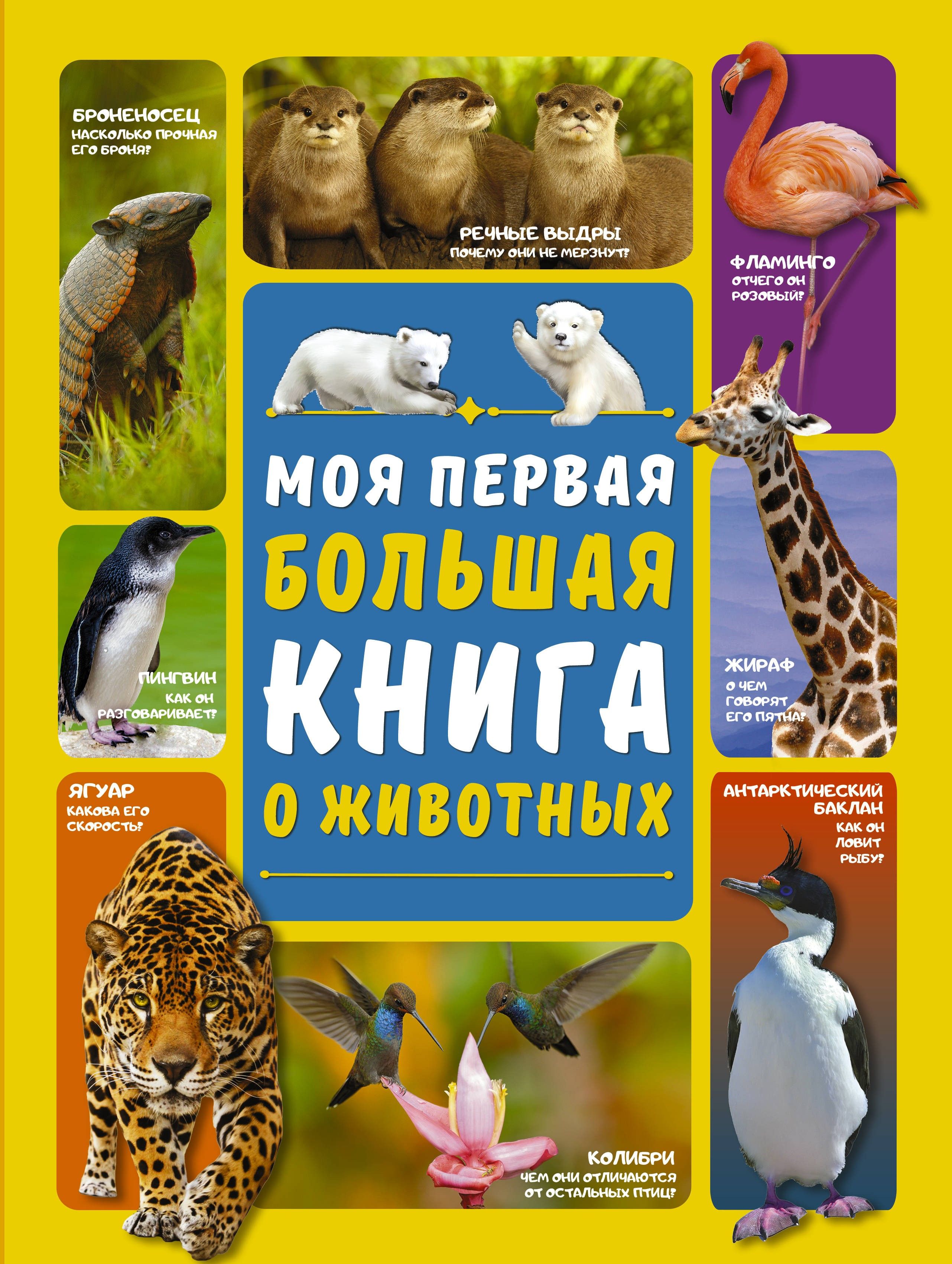 Моя первая большая книга о животных | Ермакович Дарья Ивановна, Вайткене Любовь Дмитриевна