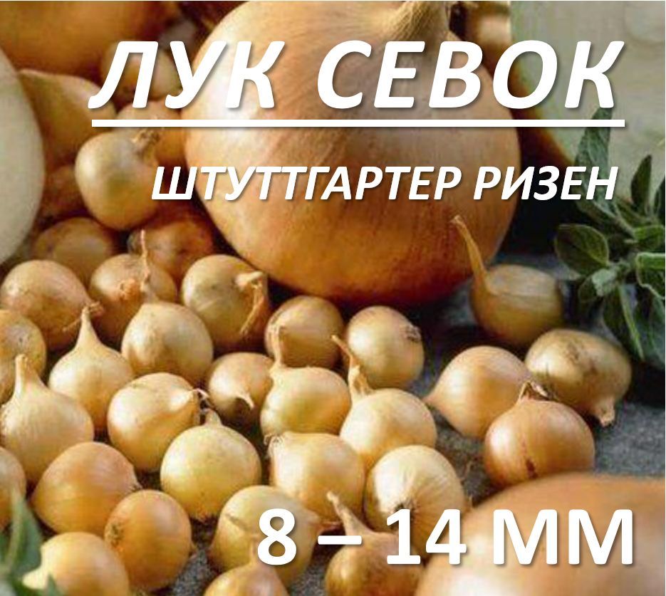 Луковицы,2кг купить на OZON...