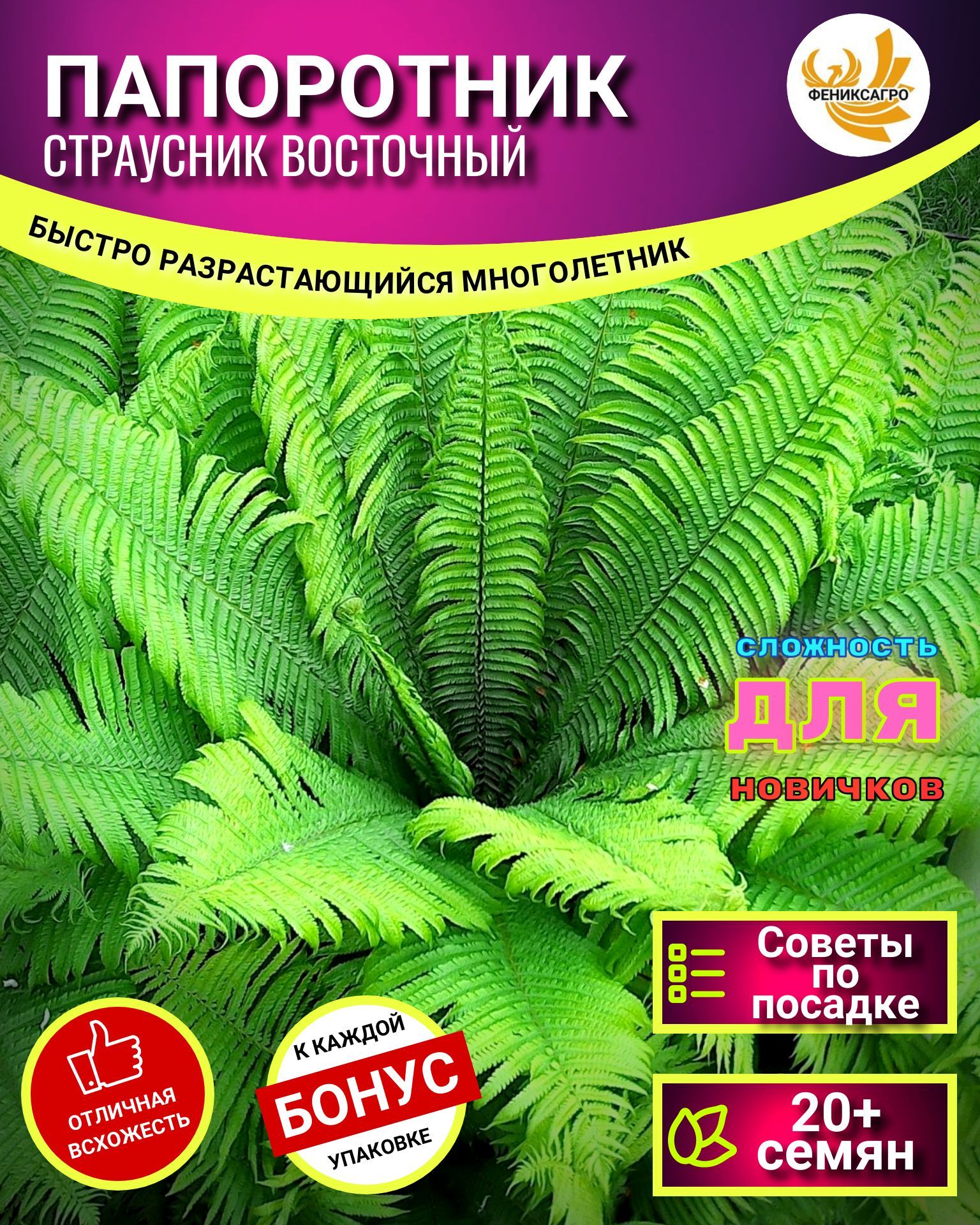 ПАПОРОТНИК Страусник Семена 20 шт + Бонус + Рекомендации по посеву БЕСПЛАТНО!