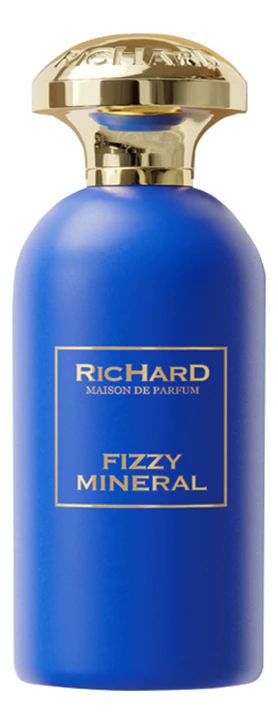 Richard FIZZY MINERAL Вода парфюмерная унисекс 100 мл RICHARD купить