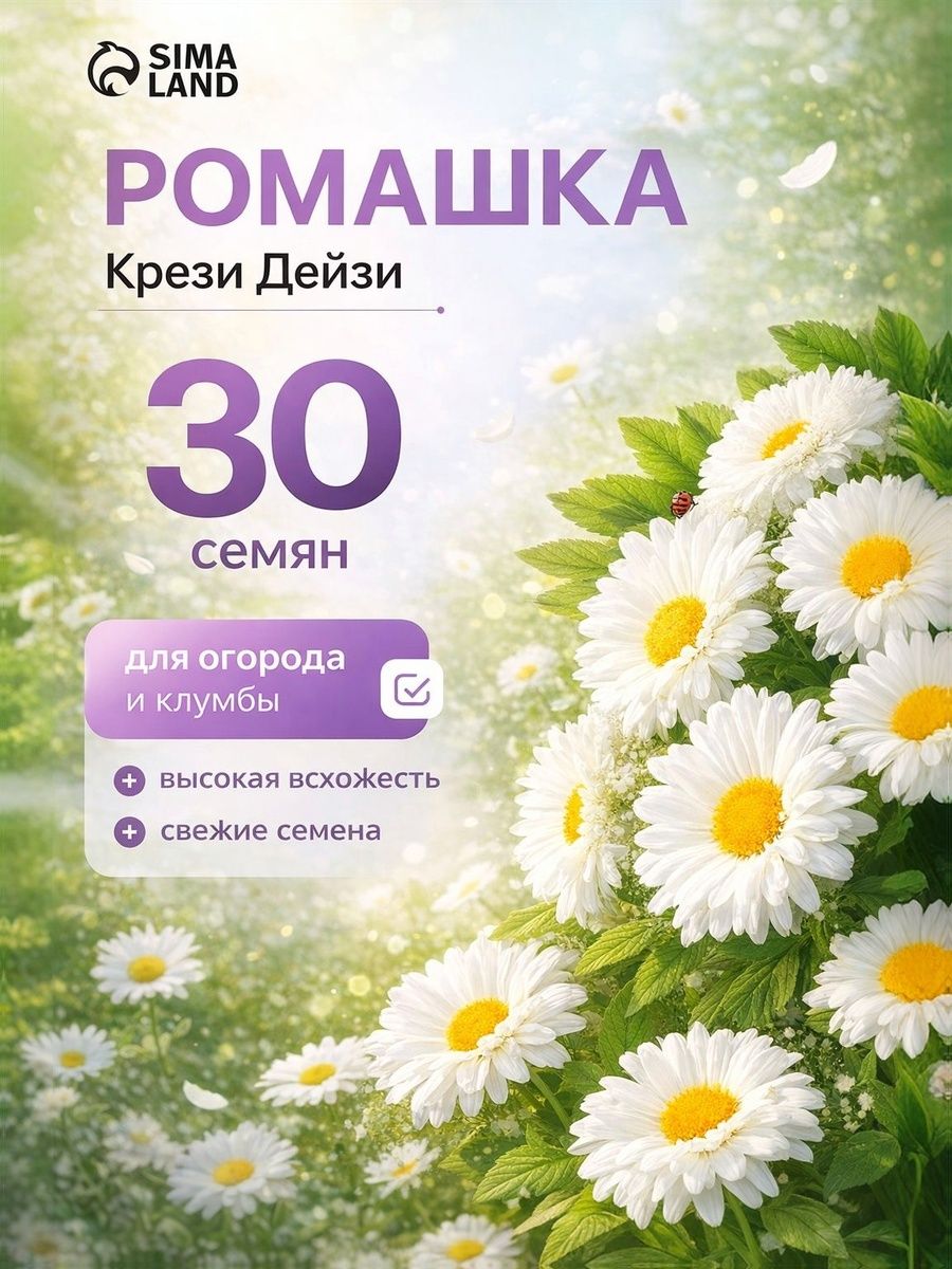 Семена ромашки многолетней Крейзи Дейзи, 30 семян / ромашка для клумб
