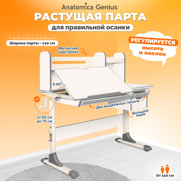 Растущая парта Anatomica Genius белый/серый - купить с доставкой по ...