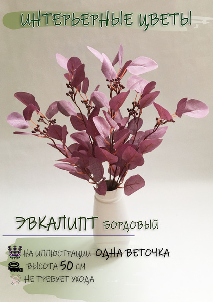 Купить Искусственное растение, Эвкалипт, 1 веточка, 50см по выгодной ...