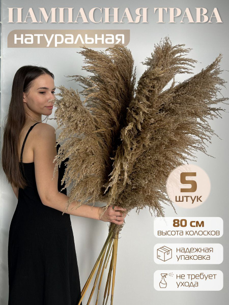 Сухоцветы AM HOME DECOR Камыш, Пампасная трава, 80 см, 300 гр, 5 шт ...