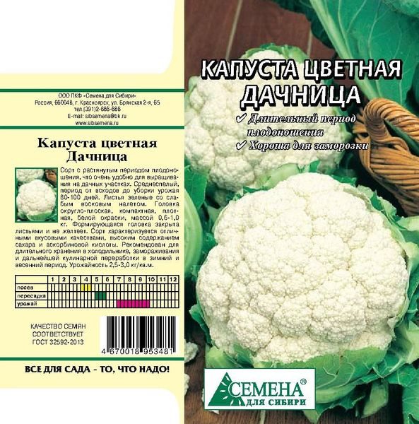 2гр. Капуста цв. Капуста цветная дачница 0,2г заморозь!. Цветная капуста дачница фото. Капуста цветная дачница отзывы.