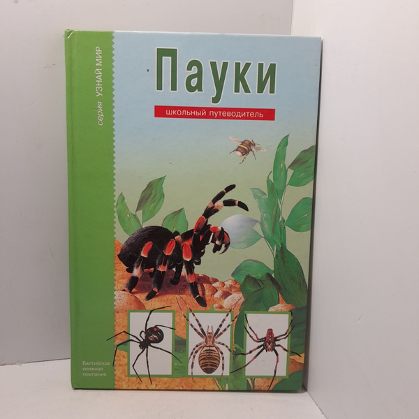 Пауки. Школьный путеводитель - купить с доставкой по выгодным ценам в ...