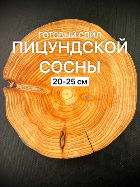 Готовый спил Пицундской Сосны 20-25см 1шт - купить с доставкой по ...