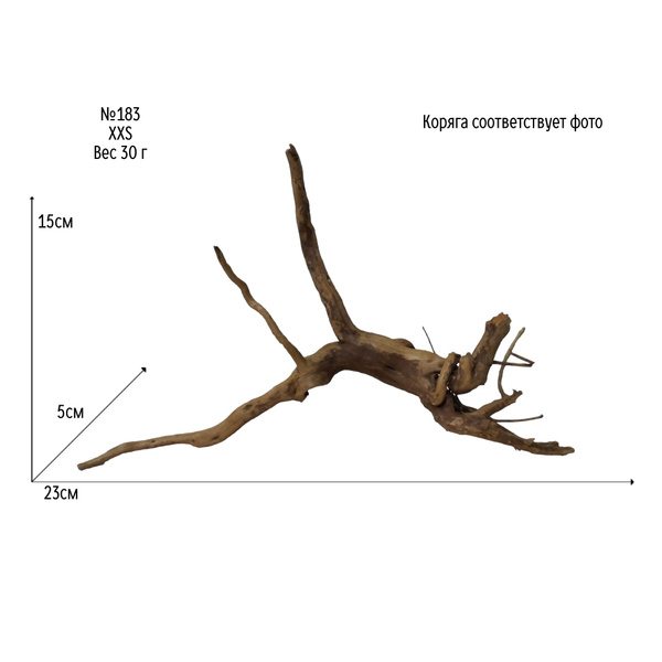 Натуральная коряга для аквариума и террариума. Корень Азалии XXS ...