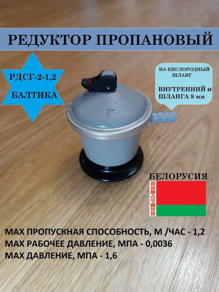 Редуктор давления газа Балтика РДСГ 2-1,2, Беларусь - купить в интернет ...