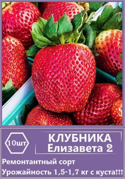 Клубни Земляника и клубника Green Sad купить по выгодной цене в интернет-магазин