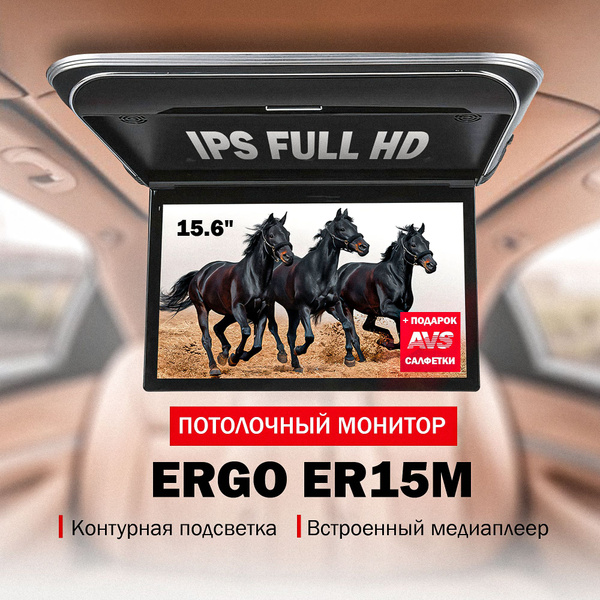 Автомобильный потолочный монитор 15.6" Ergo ER15M черный купить на OZON ...