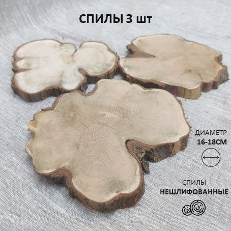 Спилы можжевельника нешлифованные 3 шт 16-18 см - купить с доставкой по ...