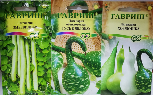 Лагенария, Тыквы Гавриш Урожайная грядка - купить по выгодным ценам в ...