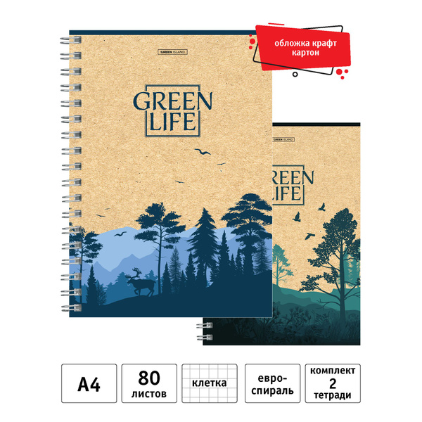 Academy Style Тетрадь, 2 шт., листов: 80 - купить с доставкой по ...