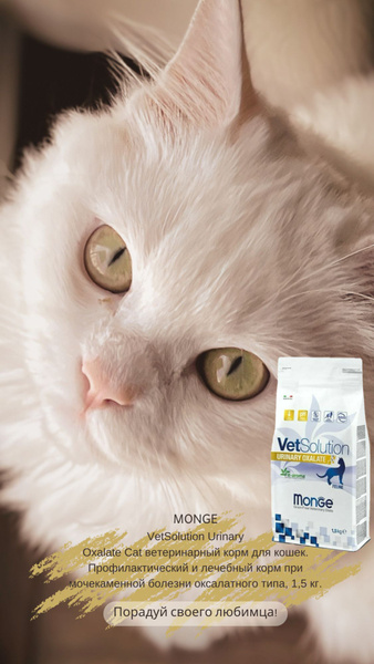 Monge VetSolution Urinary Oxalate Cat ветеринарный корм для кошек ...