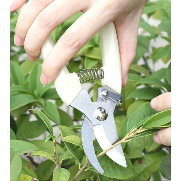 Ручной кусторез,Нержавеющая сталь,15мм купить на OZON по низкой цене ...