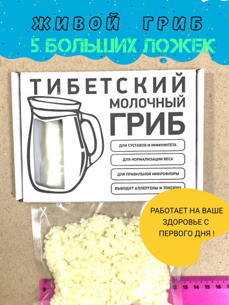 Молочный гриб большая порция 5ложек - купить с доставкой по выгодным ...