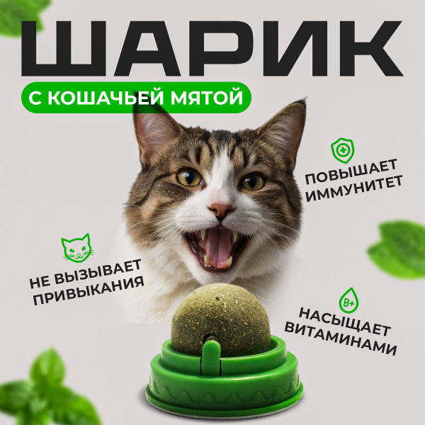 Кошачья мята шарик - купить с доставкой по выгодным ценам в интернет ...