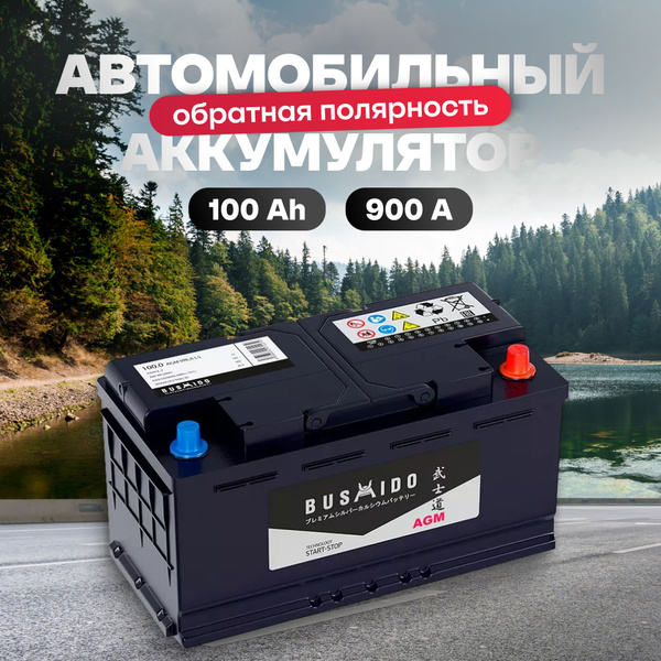 Аккумулятор автомобильный BUSHIDO Бушидо купить по выгодной цене в ...