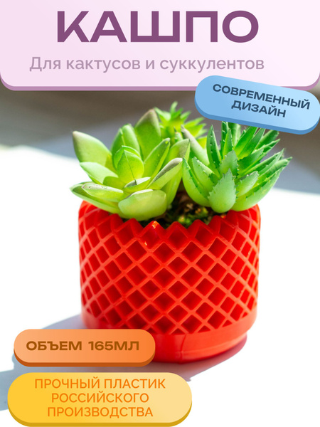 Кашпо для кактусов и суккулентов, горшок для кактусов и суккулентов ...
