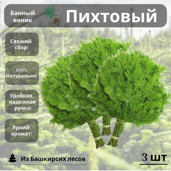 Веник для бани пихтовый 3 штуки купить на OZON по низкой цене (1733640439)