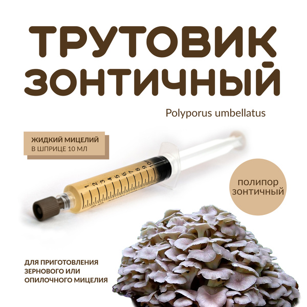 Жидкий мицелий Трутовика зонтичного - купить по выгодным ценам в ...