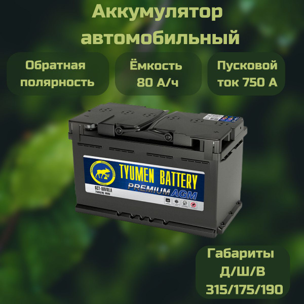 Tyumen Battery Аккумулятор автомобильный, 80 А•ч, Обратная ...
