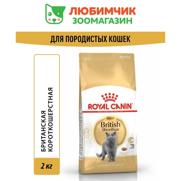 Royal Canin British Shorthair Adult (Роял Канин Эдалт со вкусом птицы ...