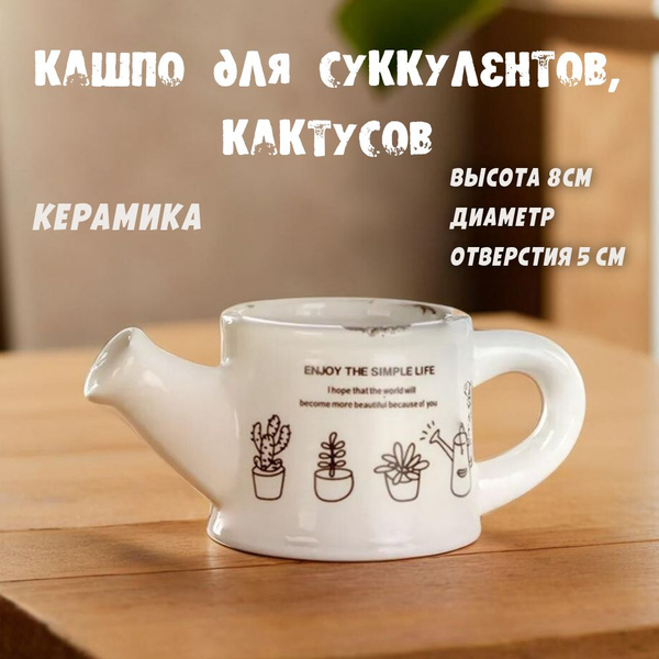 Кашпо для суккулентов, кактусов и цветов "Лейка" - купить с доставкой ...