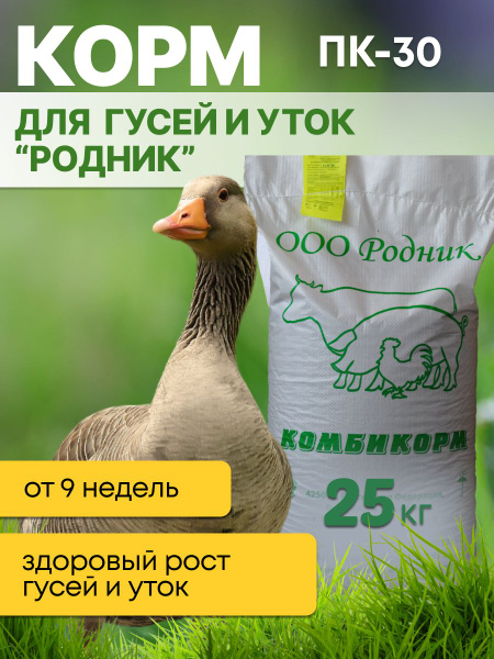 Комбикорм для уток и гусей ПК-30 "Родник" - купить с доставкой по ...