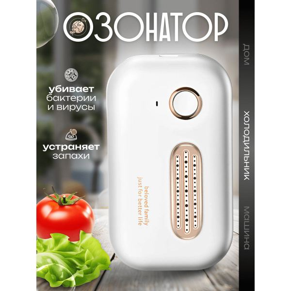 EcoZone Озонатор Дезинфектор бытовой купить на OZON по низкой цене ...