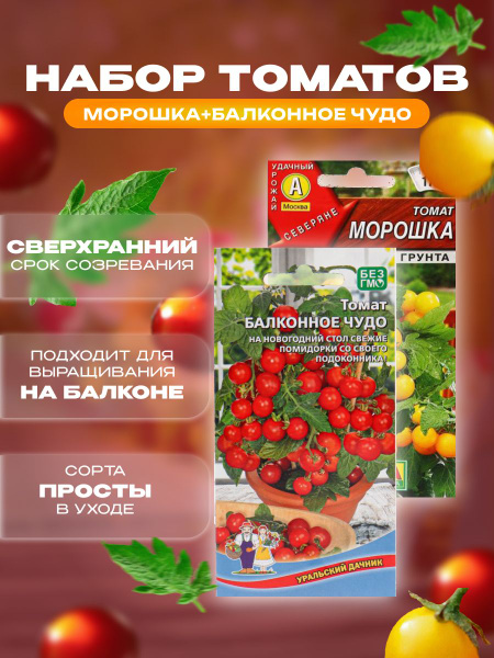 Томаты черри томаты_2 / балконные томаты Морошка_Пуговка_2 - купить по ...
