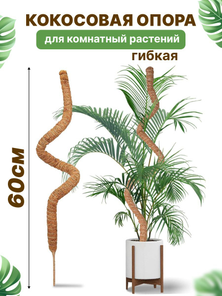 Опора кокосовая поддержка для комнатных растений и цветов 60 см., 1 шт ...