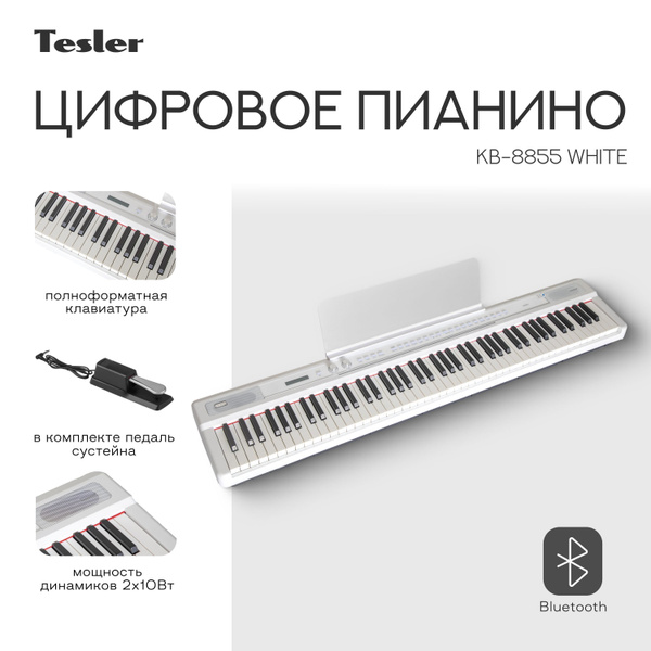Цифровое пианино TESLER KB-8855 WHITE купить на OZON по низкой цене ...