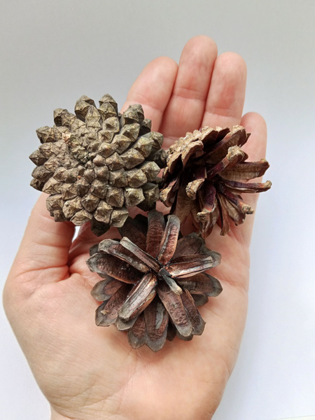 7544466373.jpg
