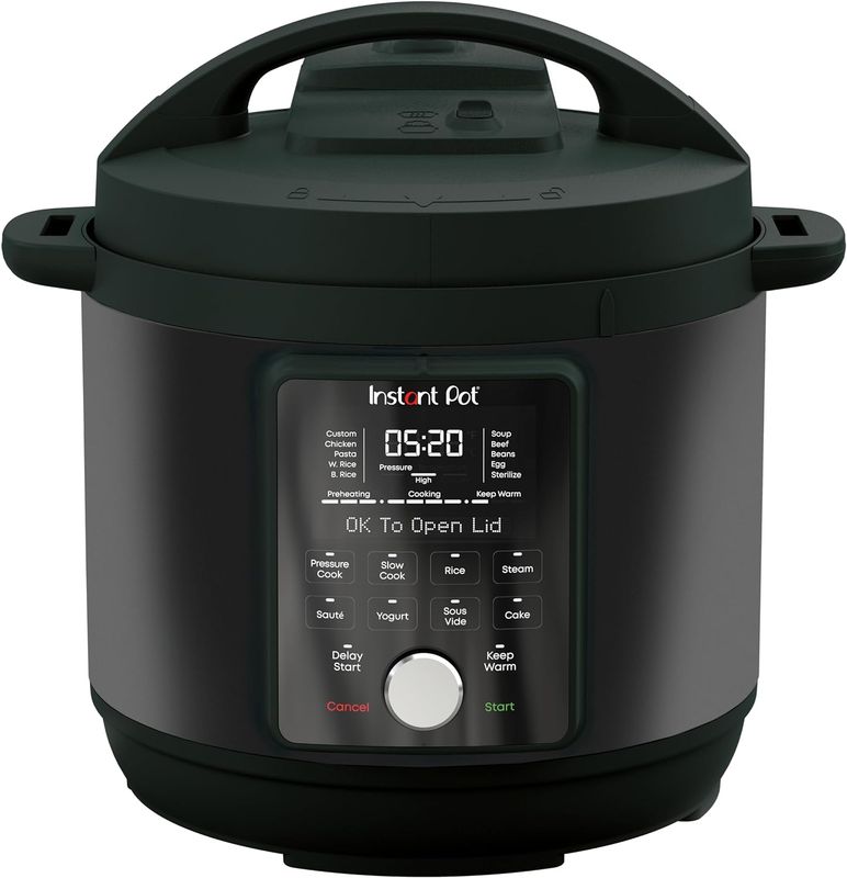 Instant pot duo evo plus 220v sale