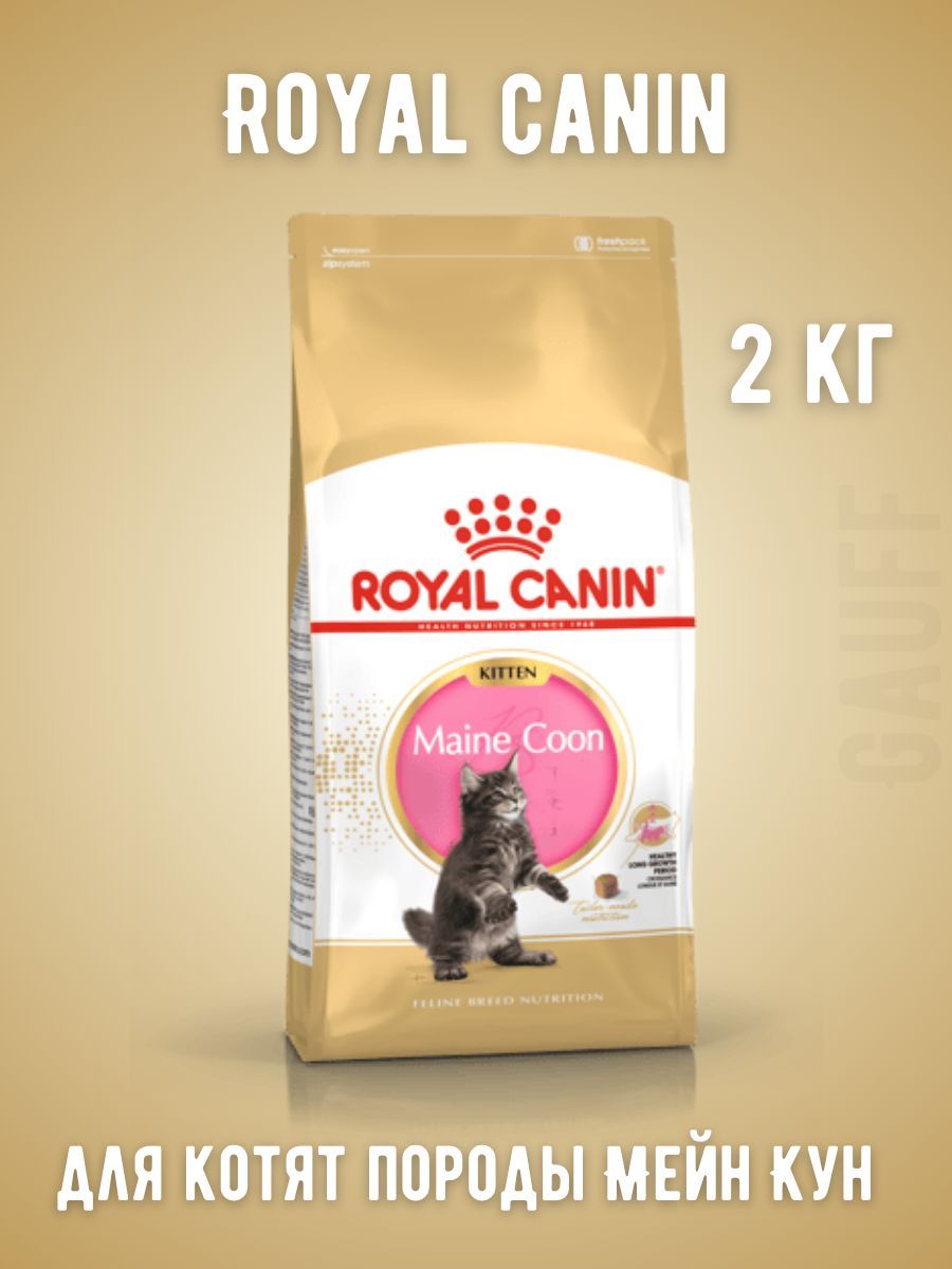 Royal Canin Maine Coon 2 Кг Купить