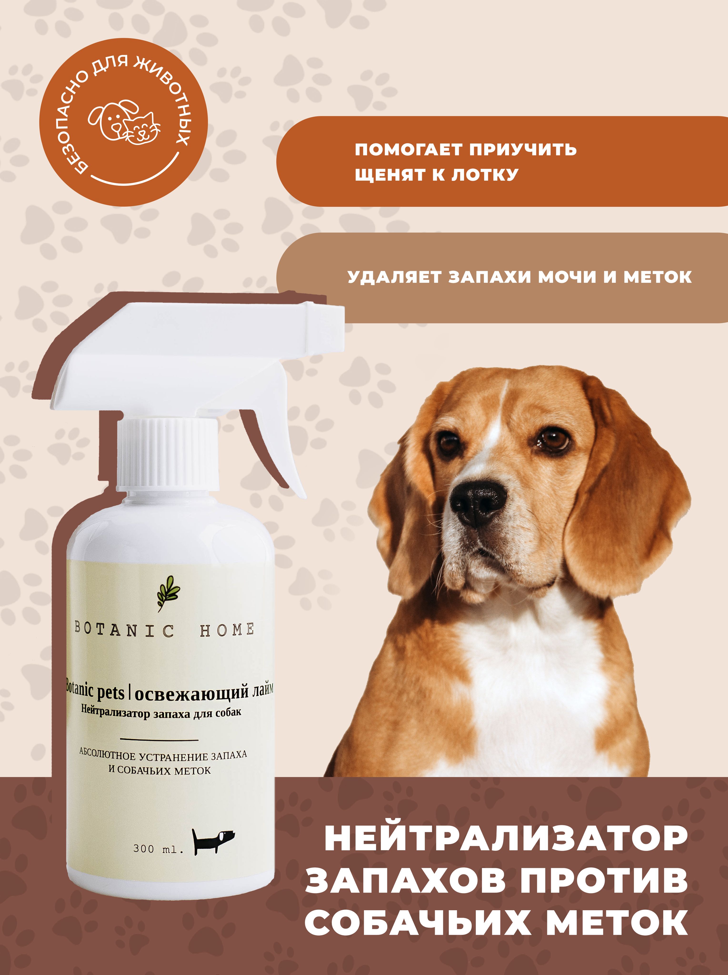 Нейтрализатор запахов животных, мочи, удалитель собачьих меток Botanic  Home, ликвидатор запахов Botanic Pets с ароматом освежающего лайма, 300 мл