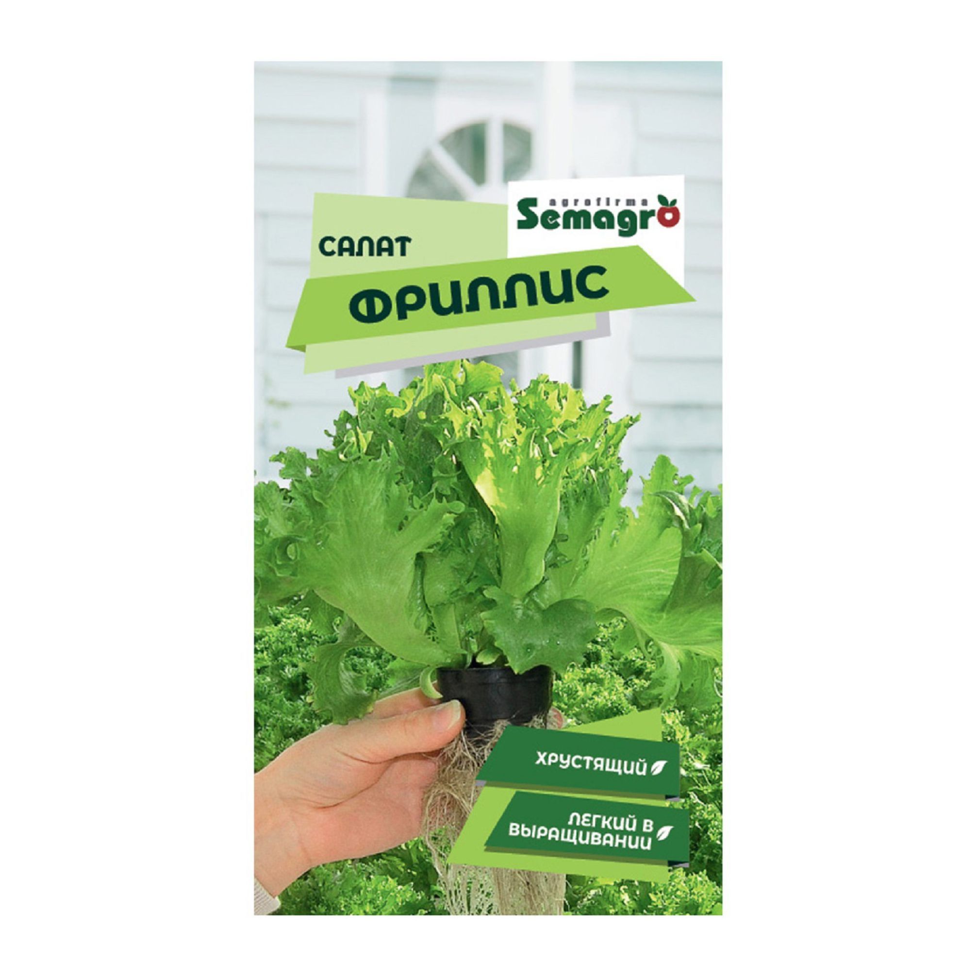 Семена Фриллис Купить В Петрозаводске