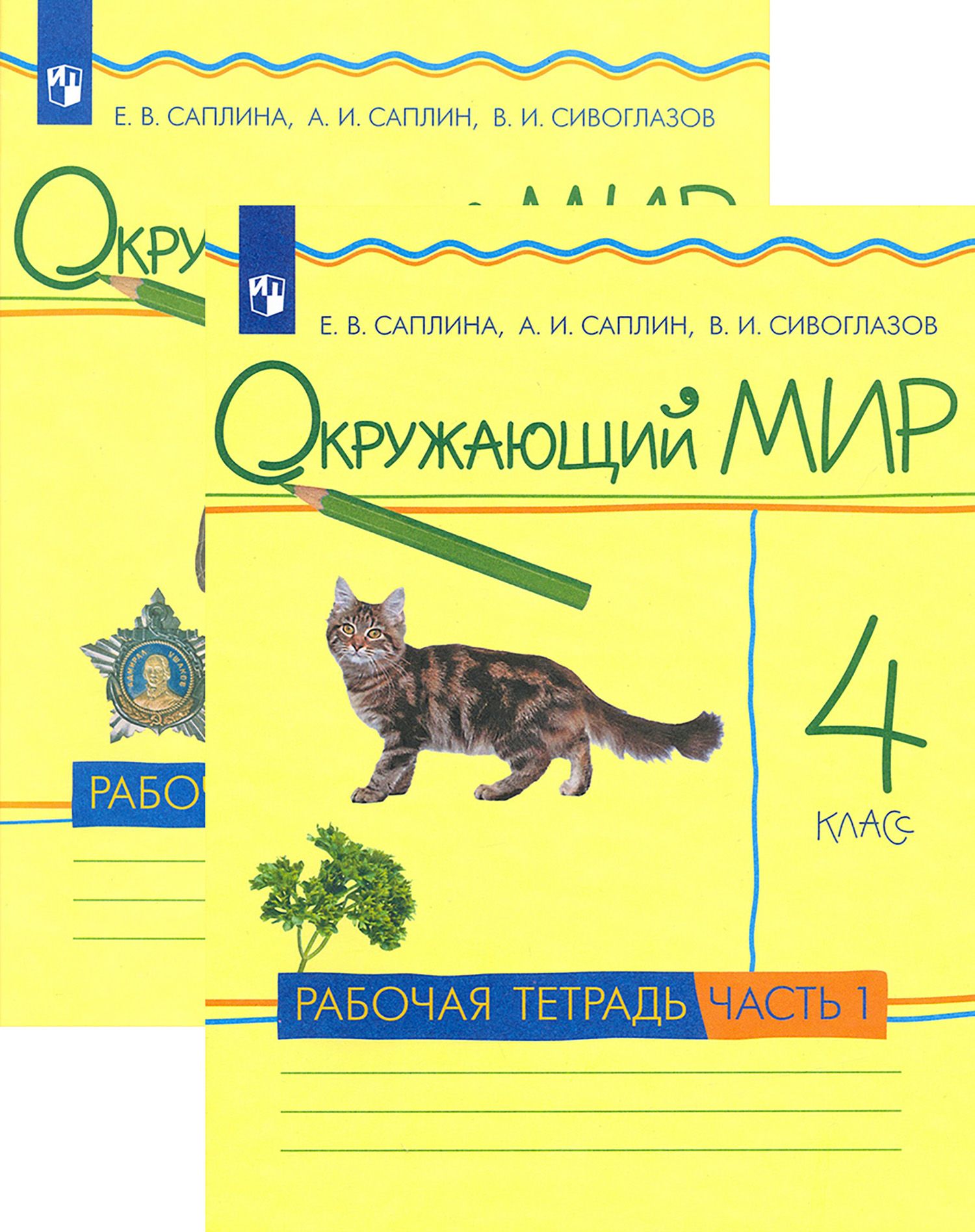 Окружающий мир. 4 класс. Рабочая тетрадь. В 2-х частях. ФГОС | Саплина  Елена Витальевна, Саплин Андрей Иванович - купить с доставкой по выгодным  ценам в интернет-магазине OZON (1509156769)